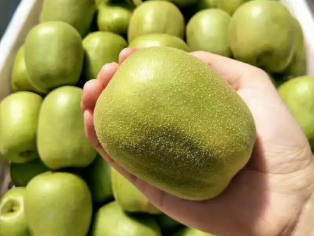 成熟期