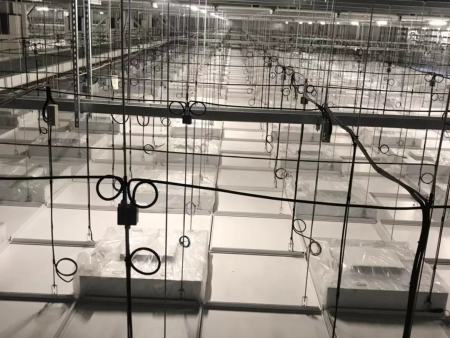 半导体芯片洁净工程