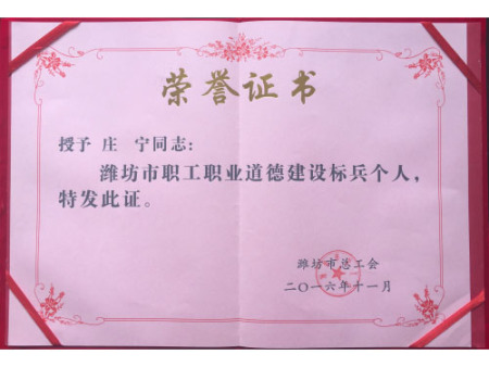 濰坊市職工職業(yè)道德建設標兵