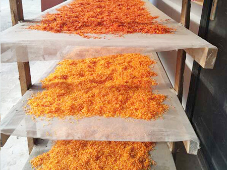 卫红花在什么条件上合适生长