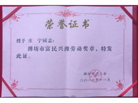濰坊市富民興濰勞動獎章榮譽證書