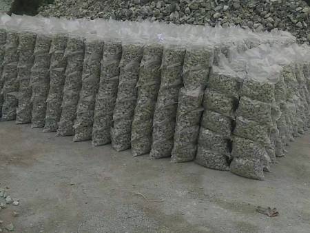 b5019a0fa89735676d79c71938e1d3d