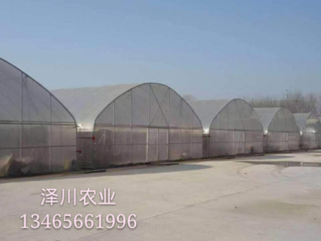 连栋薄膜温室