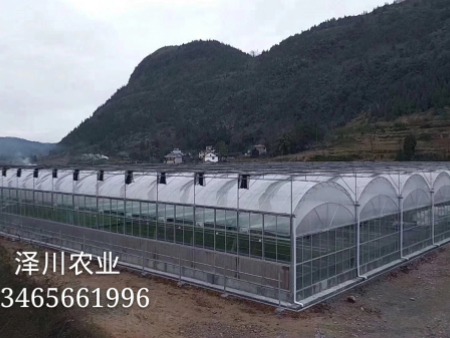 连栋薄膜温室