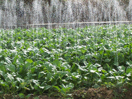 微喷带与普通灌溉的区别