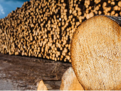 抚顺防腐油木杆_抚顺防腐木杆_抚顺防腐电杆_油木杆_油炸杆-清原满族自治县合众木器加工厂