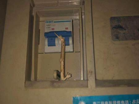 水暖、电工安装维修抢修 水暖、电工安装维修抢修