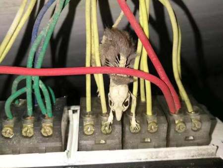 水暖、电工安装维修抢修 水暖、电工安装维修抢修