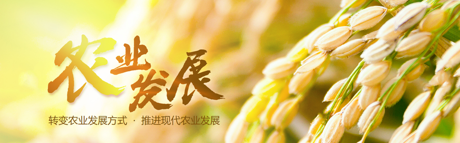 陜西恒有農(nóng)業(yè)肥料生產(chǎn)廠家提示您：有機(jī)肥、微生物菌劑、微生物菌劑，三種新型肥料　讀懂標(biāo)準(zhǔn)再選