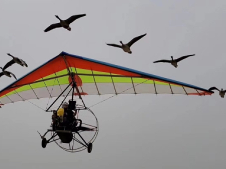 三角翼激情飞行