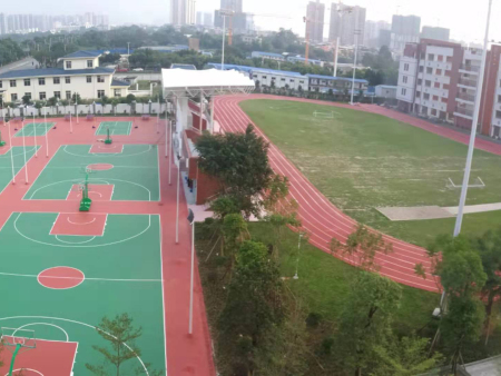 南宁市相思湖学德羸,德赢winapp硅PU篮vwin152