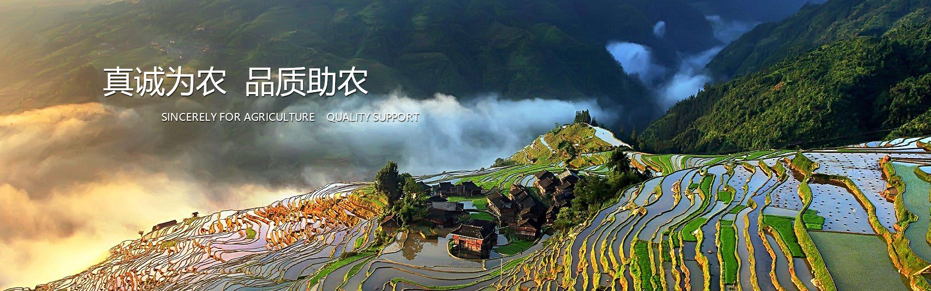 山东史地丰化工有限公司