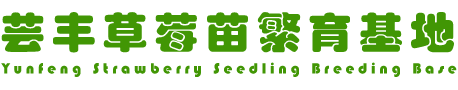 宽甸满族自治县杨木川镇芸丰草莓苗繁育基地