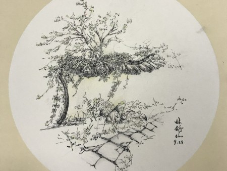 学生优秀速写作品