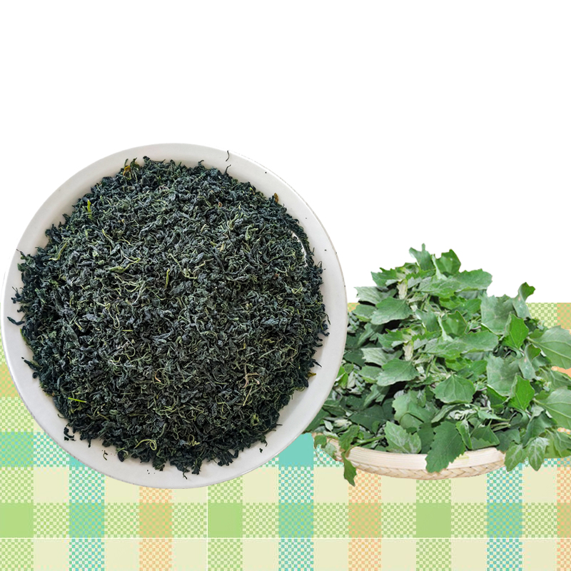 老一辈都认识的野菜——灰灰菜