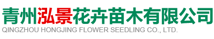 青州泓景花卉苗木有限公司