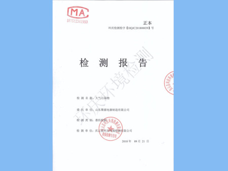 检测报告1