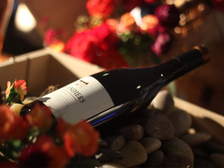 5分钟读懂葡萄酒