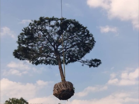 造型松裝車發貨