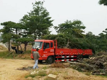 精品造型松裝車發貨