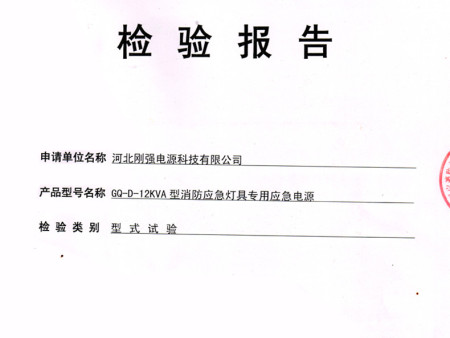 12KVA检测报告