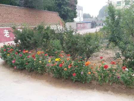 微信图片_20191030081628