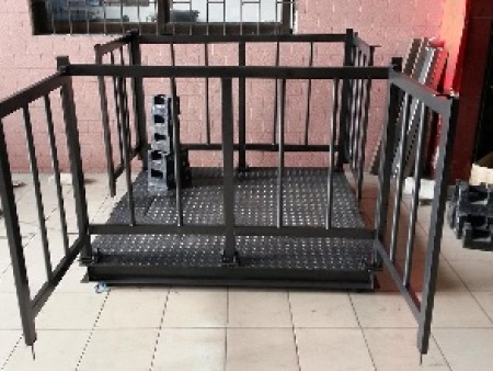 牧场农村牲畜秤犊牛秤应用1