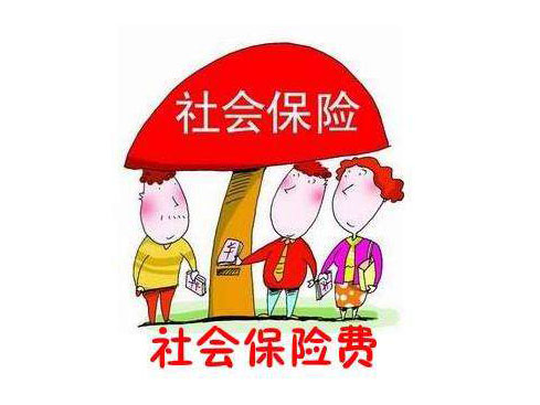 從2019年開始社會保險費由稅務(wù)部門統(tǒng)一征收