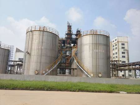 Plant landscape and appearance