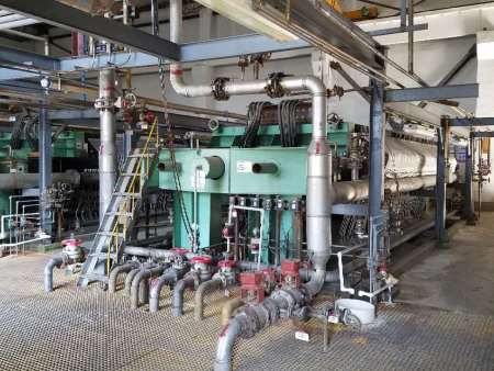 Plant landscape and appearance