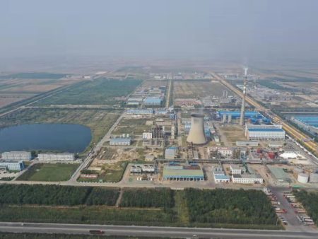 Plant landscape and appearance