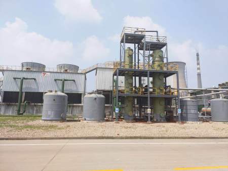 Plant landscape and appearance