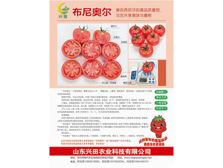 布尼奥尔的故事