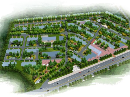 景观树种鸟瞰图