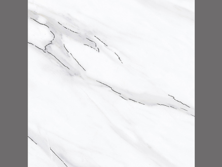 XY8109-6