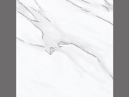 XY8109-5