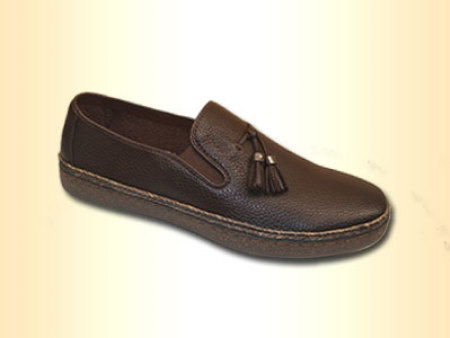 pegasus shoes