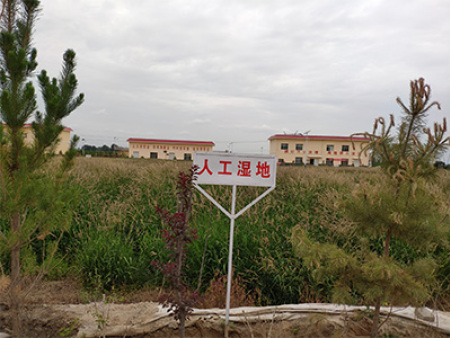人工濕地0