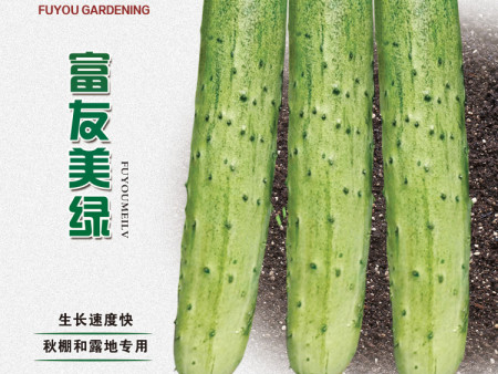沈阳蔬菜种子说说黄瓜种子栽培技术
