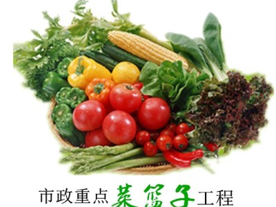 海南同德食品配送有限公司|海南食品配送|海南果蔬運輸|海南肉類配送|海南魚類配送