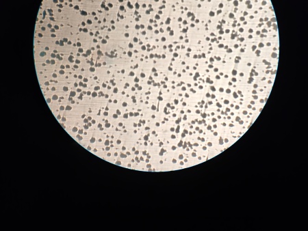 微信图片_20200307100431