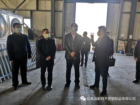 市委常委、纪委-书记、监委主任马庆、副市长邓曙光到海斯特不锈钢调研检查指导疫情防控和复工复产情况