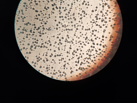 微信图片_20200307100420