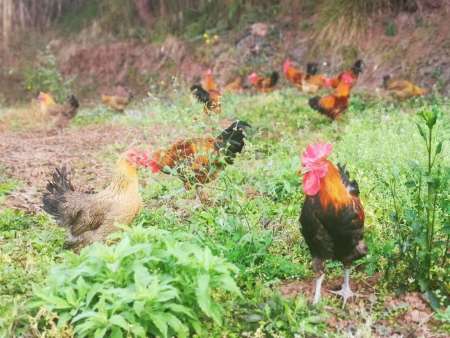 a015635f3d8de8d89137781a13bfd27