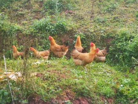 317e5c74abd440ea29c993a6d05f991