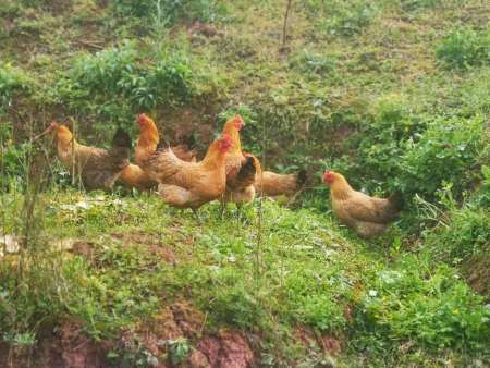 3affcb01039b47c4e85a8cda4860c9f