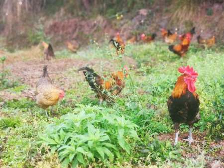 e06cfb87f5bdbeec6a0a9c735b1a5f6