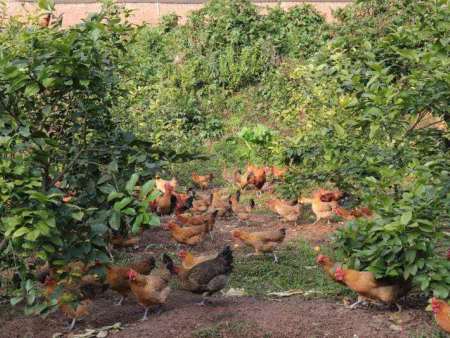 bdb6a504d94bde8abb87db88f51524f