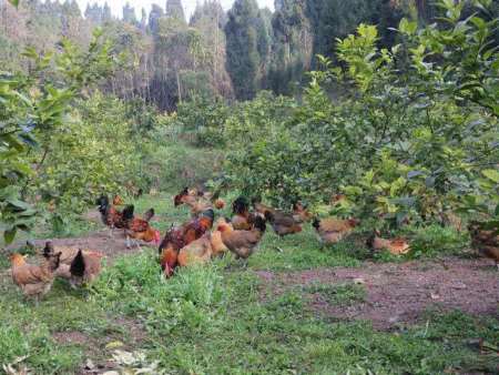 d470fa0253078942d200bf75bc8f569