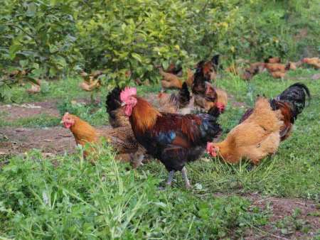 70050104bdded59a9b0d1751bd18a98